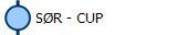 S�R - CUP